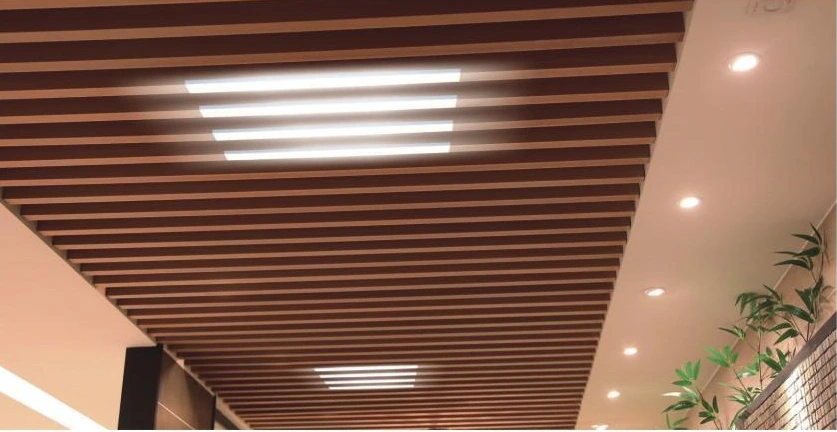 U-Shaped Baffle Ceiling — Application example.
