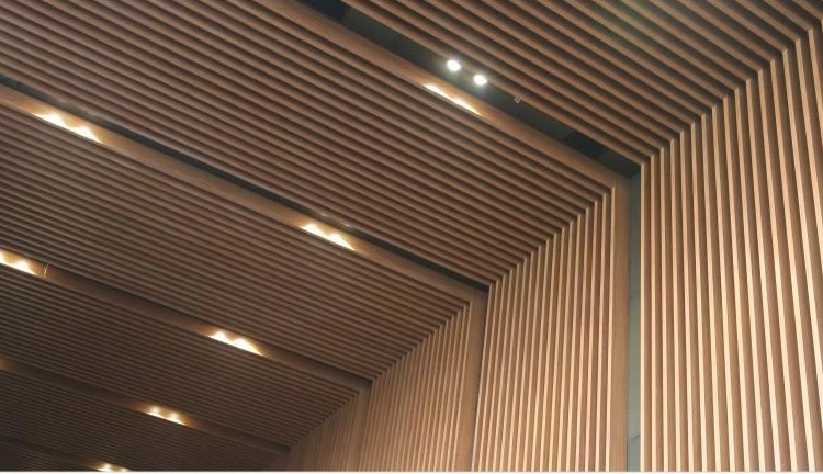 U-Shaped Baffle Ceiling — Application example.
